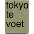 Tokyo te voet