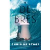 De bres by Chris de Stoop