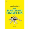 Een schitterend ongeluk door Inge Ipenburg