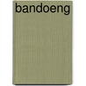 Bandoeng by Mei Lan Tjiook