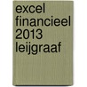 Excel Financieel 2013 Leijgraaf door D. Knetsch