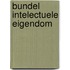 Bundel intelectuele eigendom