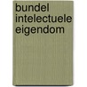 Bundel intelectuele eigendom by The Question Library