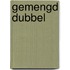 Gemengd dubbel