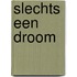 Slechts een droom