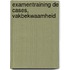 Examentraining de cases, vakbekwaamheid