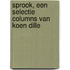 Sprook, een selectie columns van Koen Dille