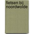 Fietsen bij Noordwolde