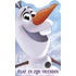 Olaf en zijn vrienden