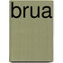 Brua