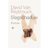 Slagschaduw