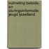 Nulmeting beleids- en sturingsinformatie jeugd IJsselland