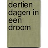 Dertien dagen in een droom door Alissa van der Lei