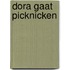 Dora gaat picknicken