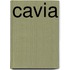 Cavia