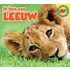 Leeuw
