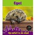 Egel