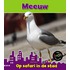 Meeuw