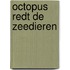 Octopus redt de zeedieren