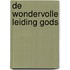 De wondervolle leiding Gods