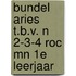 Bundel ARIES t.b.v. N 2-3-4 ROC MN 1e leerjaar