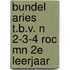 Bundel ARIES t.b.v. N 2-3-4 ROC MN 2e leerjaar