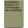 Autospuiten niveau 3 3.1 1ste leerjaar ROC Mondriaan door S.A.J. van Iersel