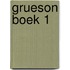 Grueson boek 1