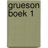 Grueson boek 1 door Guy Van de Velde
