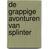 De grappige avonturen van Splinter door Lilian van der Leeuw