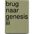 Brug naar Genesis III