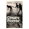 De mooie zomer door Cesare Pavese