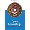 Open bewustzijn by Tarthang Tulku