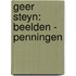 Geer Steyn: Beelden - Penningen