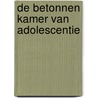 De betonnen kamer van adolescentie door Maurits Verhoef
