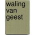 Waling van geest