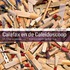 Calefax en de caleidoscoop