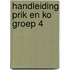 Handleiding Prik en Ko groep 4