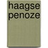Haagse penoze