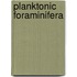 Planktonic Foraminifera