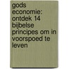 Gods economie: Ontdek 14 Bijbelse principes om in voorspoed te leven by Michiel C. Koelewijn