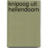 Knipoog uit Hellendoorn by Barbara F. Plaggenmarsch -Reijnders