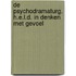 De Psychodramaturg. H.E.L.D. in denken met gevoel