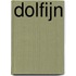 Dolfijn