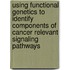 Using functional genetics to identify components of cancer relevant signaling pathways