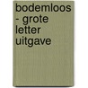 Bodemloos - grote letter uitgave door Loes den Hollander