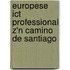 Europese ICT professional z'n Camino de Santiago