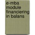 E-MBA module financiering in Balans