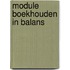 Module Boekhouden in Balans