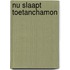 Nu slaapt Toetanchamon